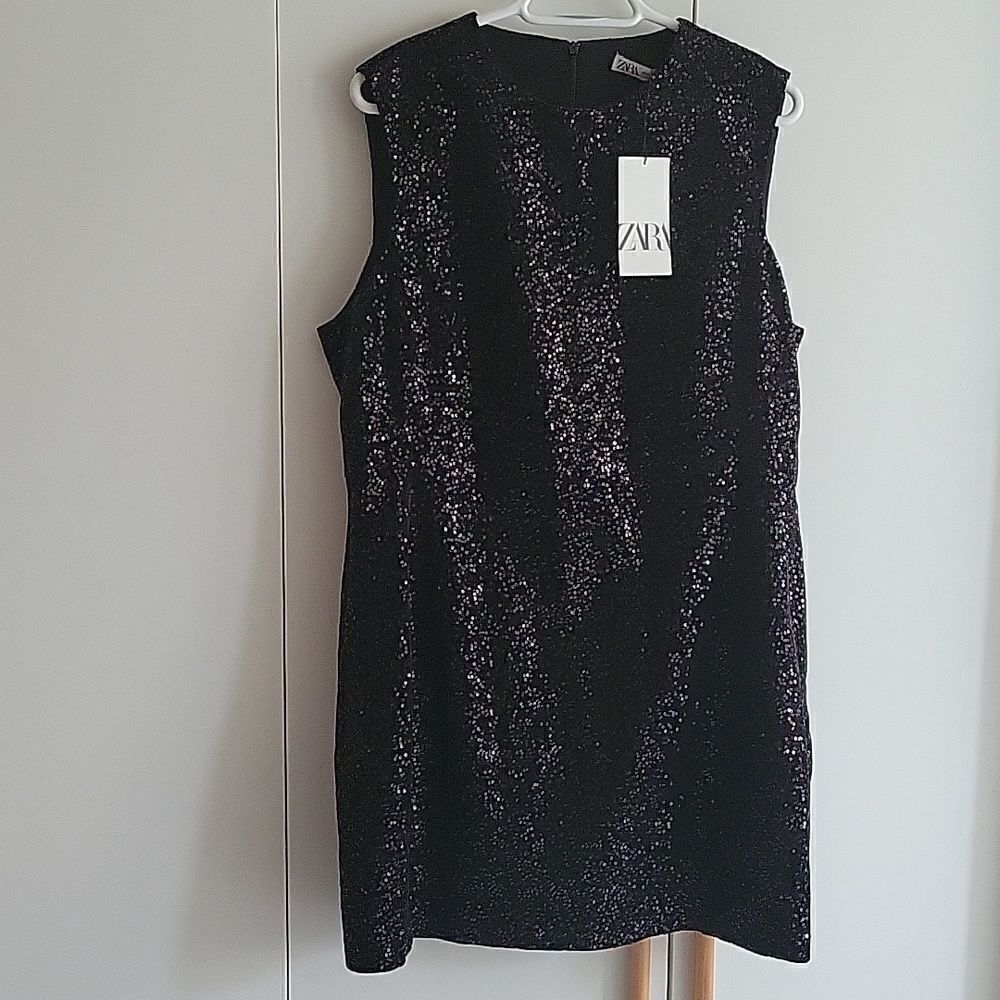 Zara Ewerning dress